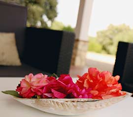 Flores